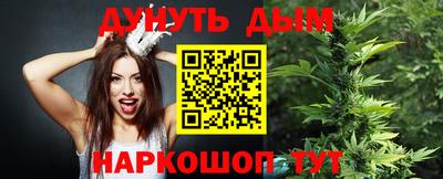 спиды Новозыбков