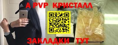спиды Новозыбков